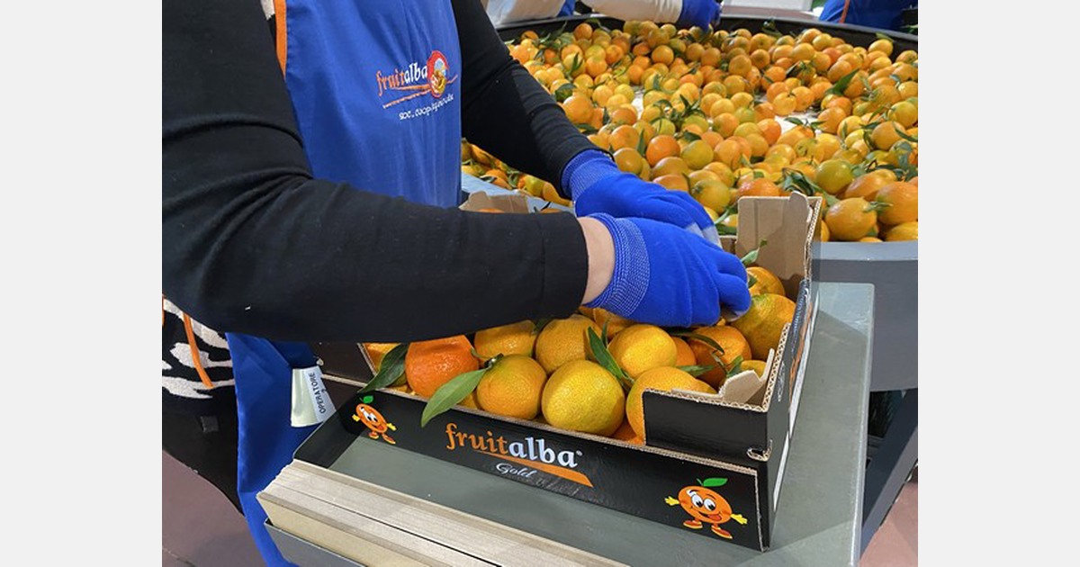 Il comune italiano Clementine sarà disponibile fino alla fine di gennaio
