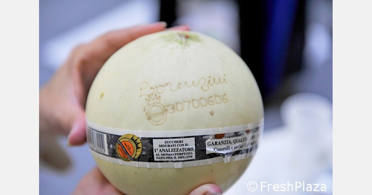 “Ci sono molti meloni sul mercato in Italia, ma potrebbero cambiare rapidamente”.