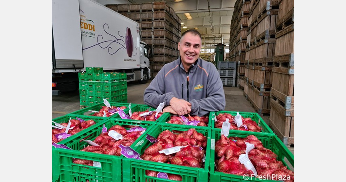 “I migliori prezzi alla produzione per le cipolle in Italia”