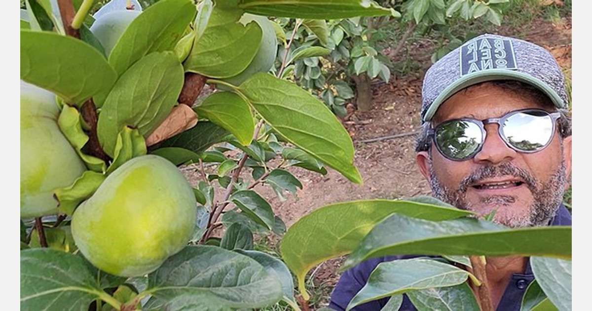 Buone prospettive per la prossima stagione degli appuntamenti in Italia