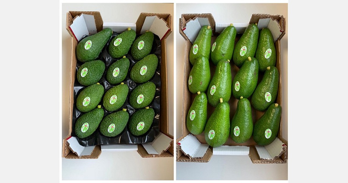 Scatole campione di avocado gratis in Italia