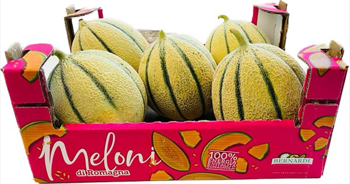 Meloni a residuo zero in Italia in 45 giorni