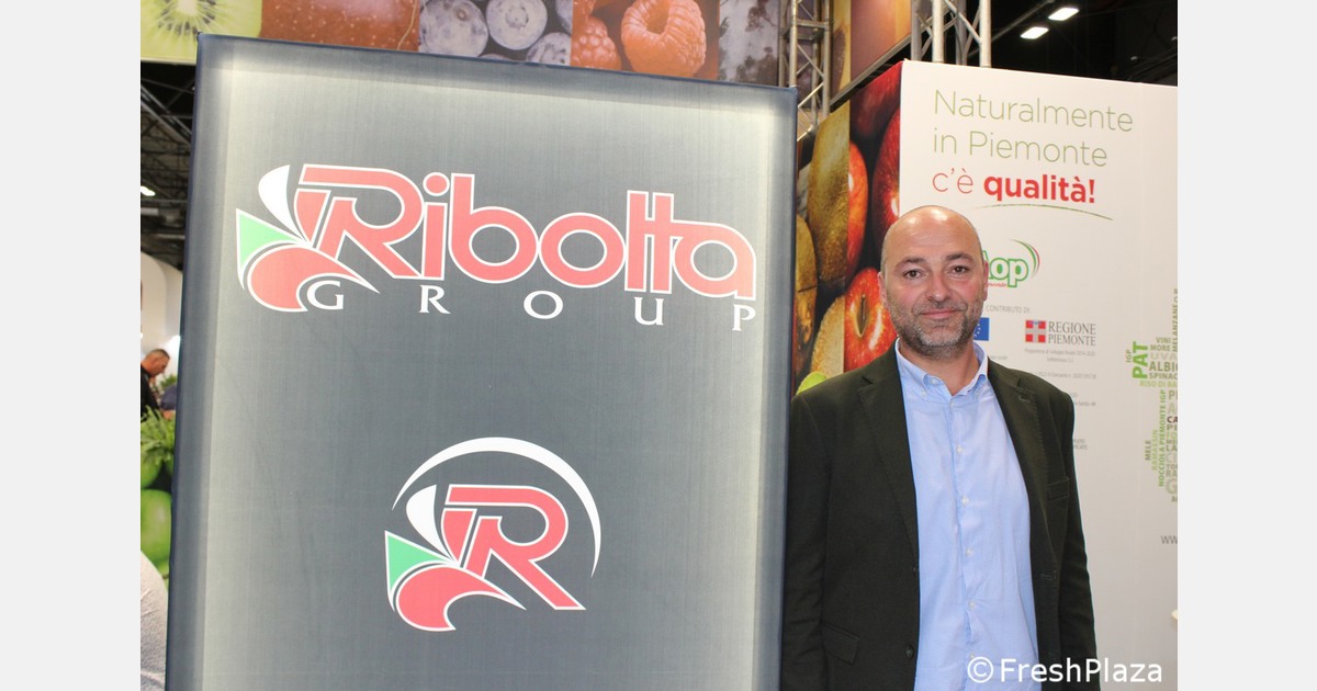 “Lotti inferiori di kiwi Hayward in Italia”