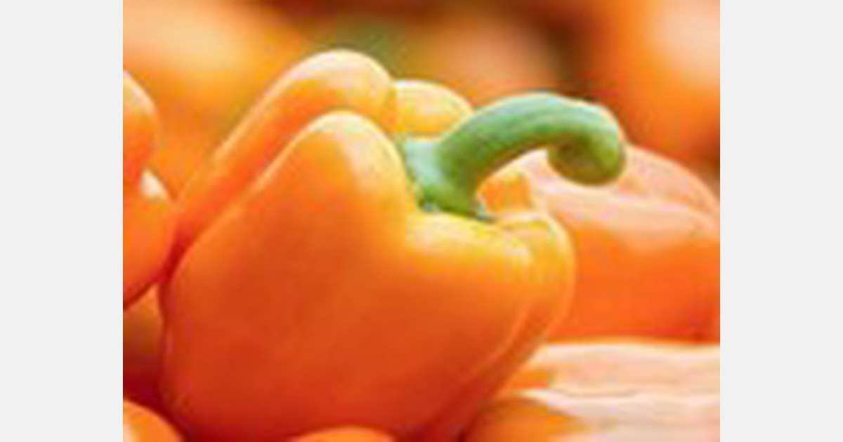 Piek in komkommerprijs en oranje valt op bij paprika