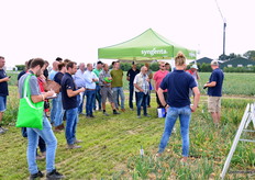 Syngenta geeft uitleg over de verschillende rassen