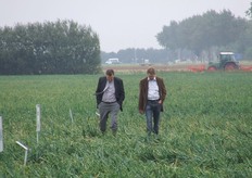 Rinus van de Berge en Peter van de Velde inspecteren de uienrassen.