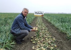 "Vertegenwoordiger Wim Menu van De Groot & Slot. Het bedrijf richt zich op zowel opbrengst als kwaliteit en behoort daarom volgens Wim tot de Nederlandse top. Nieuw is het meeldauwresistente ras 'Hystand', dat nu al wordt toegepast door biologische telers. "100% meeldauwresistent, dus een grote uitkomst", zegt Wim."