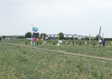 Proefvelden van de zaadveredelingsbedrijven