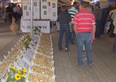 jaarlijks worden de rassenscores bekend gemaakt