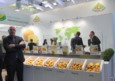 Jan Jansen van Europlant. Rassen als Regina en Concordia zijn opkomend in Nederland.