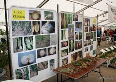 De uiendokter was weer present. Telers konden ziek of verdacht materiaal meenemen