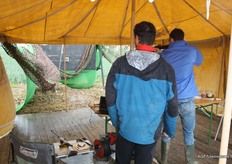 TOP en PPA hadden na het klompenbowlen van vorig jaar weer een leuke actie: buksschieten