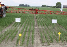 Veld van Seminis 'in onderzoek'