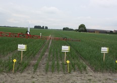 Motion, Progression en Medaillon van Syngenta