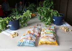 Van pootgoed tot frietaardappel