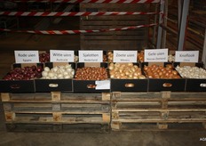 Uien van alle windstreken