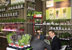 Steven Lauwers van Vegobel in gesprek.