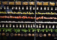 Een mooie wall uitgestald met de producten van Mitrofresh en Green Mushroom Farm