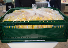 De nieuwe bananenkrat van Euro Pool System