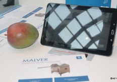 Malver heet het elektromechanisch systeem van Turatti uit Italië voor het nauwkeurig automatische schillen van allerlei soorten ontpitte en gehalveerde mango’s met een gemiddelde capaciteit van ongeveer 48 stuks per minuut.