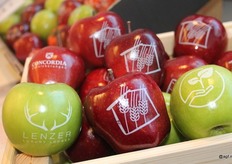 LogoFrucht van het Duitse Kellermeister Manns is een methode voor het bedrukken van groenten en fruit ongeacht de vorm. Ronde objecten kunnen met smaakloze, waterbestendige kleurstoffen voor levensmiddelen op zachte wijze, met hoog contrast en individueel worden bedrukt.