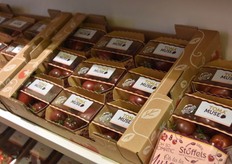 Bij Stoffels Tomaten waren de Toma'Muse tomaten te vinden. Die zijn ontwikkeld in samenwerking met veredelaar Toma-Tech en Mastronardi Produce (Canada), La-Palma (Spanje) & Perfection fresh (Australië). http://www.groentennieuws.nl/artikel/169119/Klaar- voor- uitrol-van-het-Tomamuse-concept