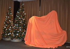 Eindelijk zijn we toe aan het oranjekleed.