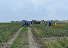 Excursies in het veld
