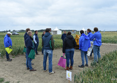 Zoals de proef met niet kerende grondbewerking