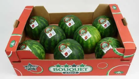 Aanvoer mini-watermeloenen kan zomer problematisch