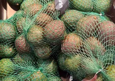 Mehadrin avocado's