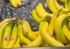 bananen 0,99 cent de kg. Opvallend dat bananen in vrijwel de meeste winkels goedkoop zijn