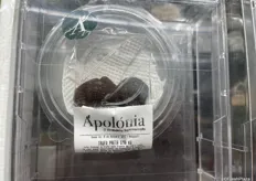 Zwarte truffel verpakt in een plastic bakje