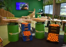 Citrusuitstalling in de Experience Room van Postuma