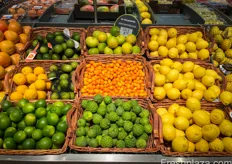 Onder andere bergamot, kumquat en kaffir limoenen te vinden bij het citrus