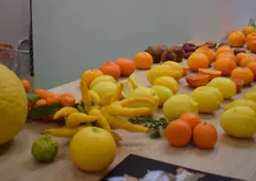 Een mooi overzicht van citrusvariëteiten. Het Franse CIRAD en INRA onderzoeken citrus en maakt door botanische classificatie de weg vrij voor veredelingstrategieën voor onder andere sinaasappels, mandarijnen, grapefruit, pomelo's, citroenen en limes.