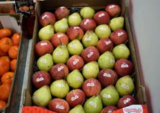 Appelen met peren vergelijken wordt wel heel makkelijk gemaakt door Grupo Luis Vincente