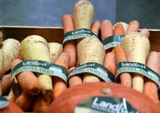 Bij Landgard een in band verpakte gekleurde wortelenmix