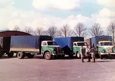 Henk Vervelde exporteur agf met hier MAN diesels 635/650/770 op veiling Oud-Beijerland 1966