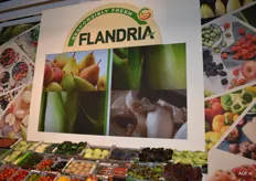 Een groot gamma van Flandria producten.