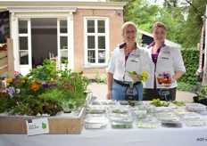 Saskia Lammers en Megan Oldenburger van Puur Groenten met bijzondere rassen Aziatische groenten, bijzondere smaken en eetbare bloemen. "Telen voor chefs is topsport"