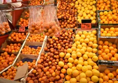 Bloedsinaasappelen te midden van het citrusassortiment