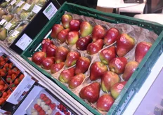 Bel’export liet met trots haar nieuwe rode peren zien. Deze vuurrode peren hebben een brix-waarde van 18 en zijn, volgens de mannen, een stuk zoeter dan de peren die iedereen gewend is.